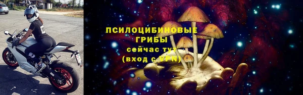 apvp Алексеевка