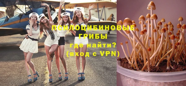 apvp Алексеевка