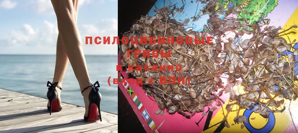 винт Алзамай